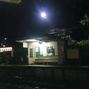 飞羽先生撞鬼经