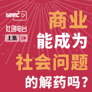 商业能成为社会问题的解药吗？（上）