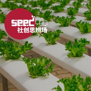 人造肉的革命：人类不需要吃肉了？| 可持续生产和消费