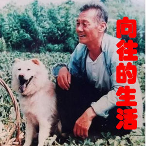 向往的生活 - 篱笆 女人 和 狗?
