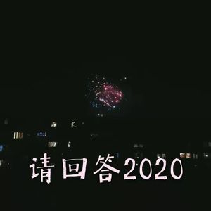 回顾2020 (彩蛋)