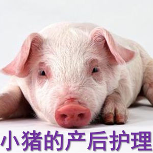 科技发展 了吗？