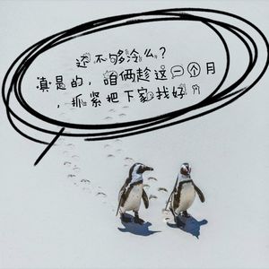 离婚冷静期是个什么厚度的臭氧层子?