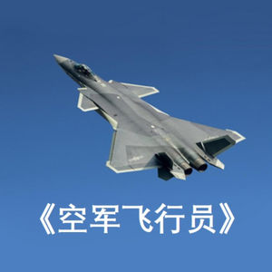 Amy师姐读书分享 – 人性是共通的 正常的西方世界《空军飞行员》也会重视集体