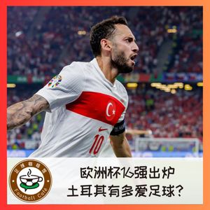 414 在现场!欧洲杯十六强出炉,土耳其有多爱足球?