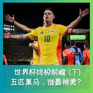 578 世界杯终极前瞻(下)：五匹黑马，谁最神勇？