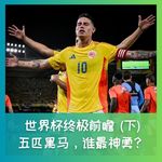 578 世界杯终极前瞻(下)：五匹黑马，谁最神勇？
