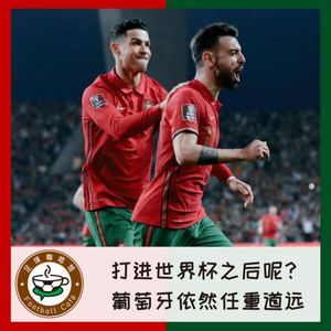195打进世界杯之后呢？葡萄牙依然任重道远