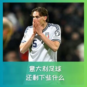 562 意大利足球,还剩下些什么?
