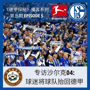 213【德甲探秘-5】专访沙尔克04：球迷把他们抬回德甲