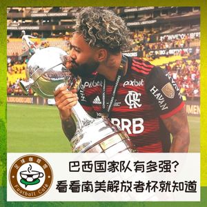 256 巴西国家队有多强？看看南美解放者杯就知道