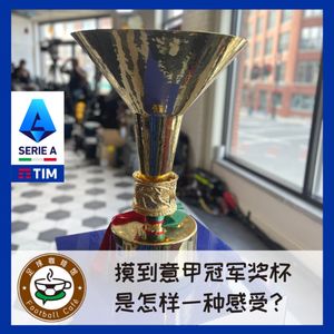 295 摸到意甲冠军奖杯,是怎样一种感受?