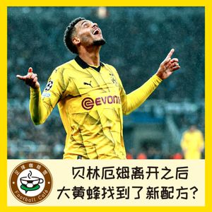 356 欧冠浓缩：没有贝林厄姆的大黄蜂，找到了新配方？