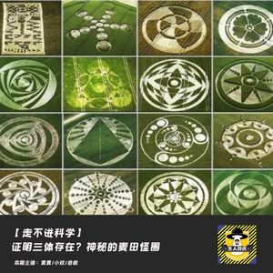 证明三体存在？神秘的麦田怪圈丨走不进科学
