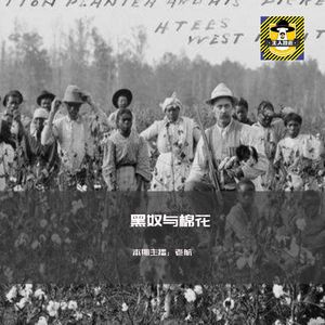 黑奴与棉花丨人间罪恶