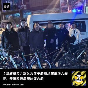 别以为你干的那点坏事没人知道，天眼系统是无比强大的丨犯罪纪实