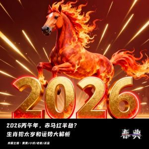 赤马红羊劫？2026丙午年生肖犯太岁和运势大解析（下)