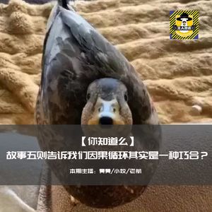 故事五则告诉我们因果循环其实是一种巧合？丨你知道么