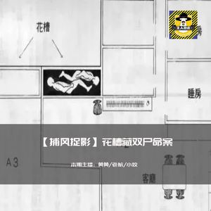 新香港十大奇案花槽双尸案丨捕风捉影