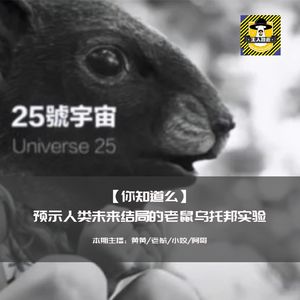 预示人类未来结局的老鼠乌托邦实验丨你知道么