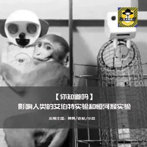 影响人类的艾伯特实验和恒河猴实验丨你知道么