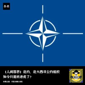 北约，北大西洋公约组织如今是纸老虎了？丨人间罪恶