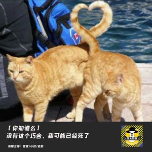 震惊首都的女高劫持案的现场,我险些丢了性命丨你知道么