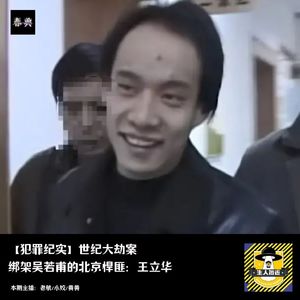 世纪大劫案-绑架明星吴若甫的北京悍匪王立华丨犯罪纪实