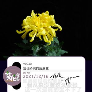 Vol.83我也娇嫩的后庭花