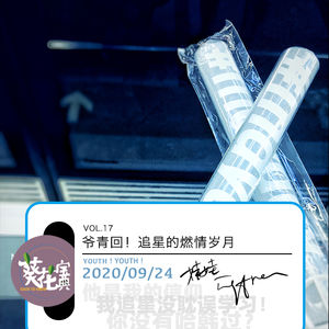 Vol.17爷青回！追星的燃情岁月