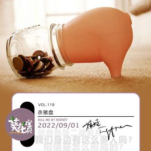 Vol.119杀猪盘