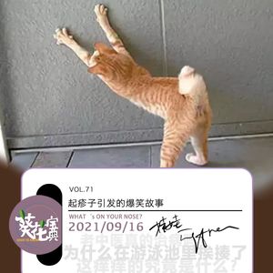 Vol.71起疹子引发的爆笑故事