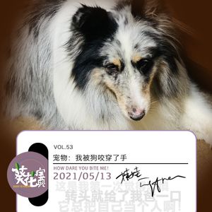 Vol.53宠物：我被狗咬穿了手