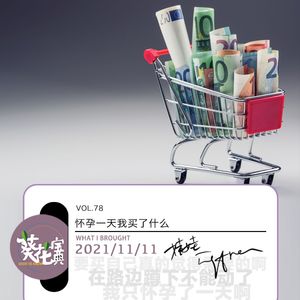 Vol.78怀孕一天我买了什么