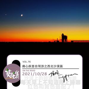 Vol.76痛心疾首自驾游之西北沙漠篇