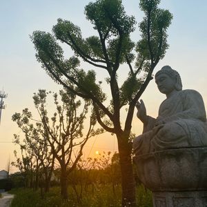 Ep19 两位少女夜游寺庙的时候,能聊出个什么玩意儿