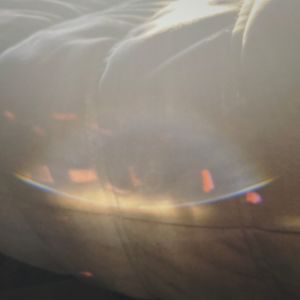 ep30 告诉你一个秘密，性别是可以流动的