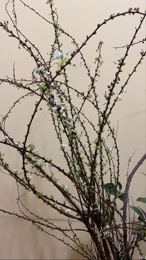 ep2 读一小段书陪大家晚安