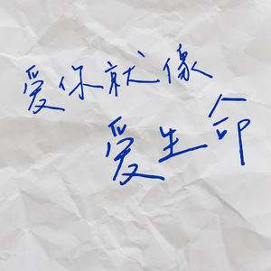24 把王小波作为方法：他告诉我，哪种生活值得一过