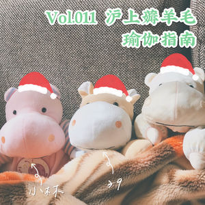 Vol.011 沪上薅羊毛瑜伽指南