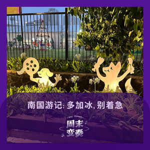 南国游记:多加冰,别着急