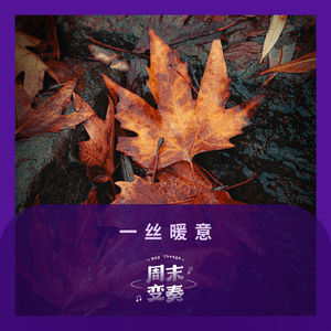 一丝暖意丨歌不停