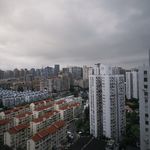 Mixtape丨夏至时节的梦，一片氤氲