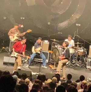 vol.9 新音乐文件夹｜什么？你居然也知道这些宝藏乐队？！