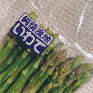 Vol.30 新音乐文件｜ 可能你没听过的动画电影原声 顺带聊聊动画配曲