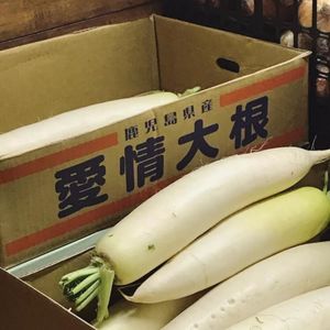 vol.27 新音乐文件｜住在歌舞伎町的设计青年 带着他的猫和音乐