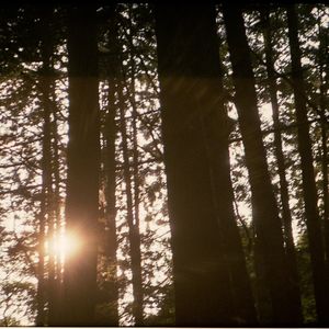 Vol.61 新音乐文件｜ 秋天的那些木吉他