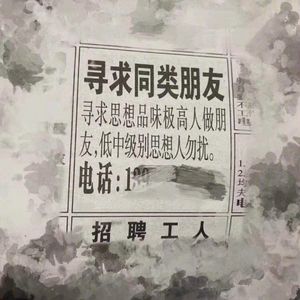 vol.25 脑交战|群嘲的舞台闪亮,审丑是我们必须接受的一部分吗