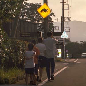 Vol.49 新音乐文件｜夏日限定乐队说明书 怎样度过夏日