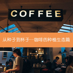 11 从种子到杯子—咖啡的种植生态篇